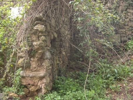 Rovine del castello di Selva dei Muli - Frosinone